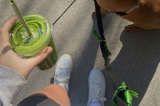A Beginner's Guide to Using Greens Powder for Better Nutrition - Real Vitality