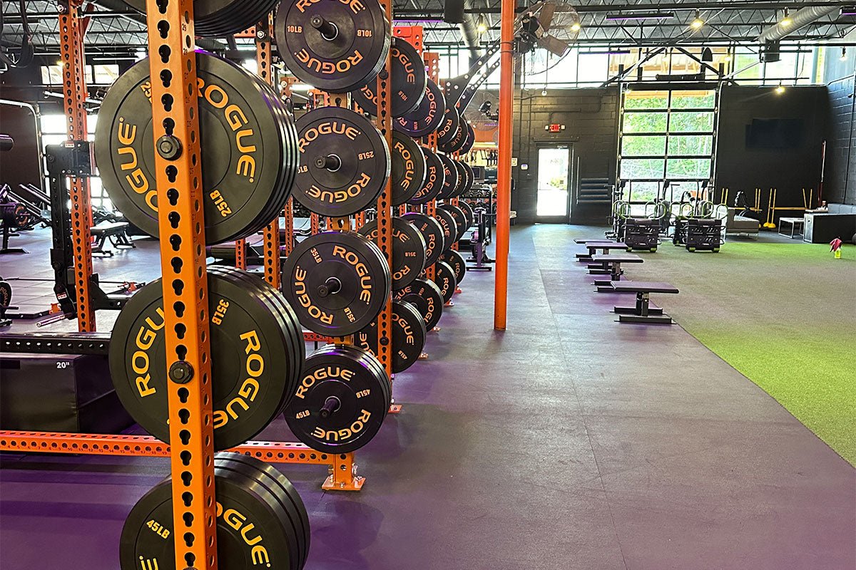 Understanding the Mind-Muscle Connection in Strength Training