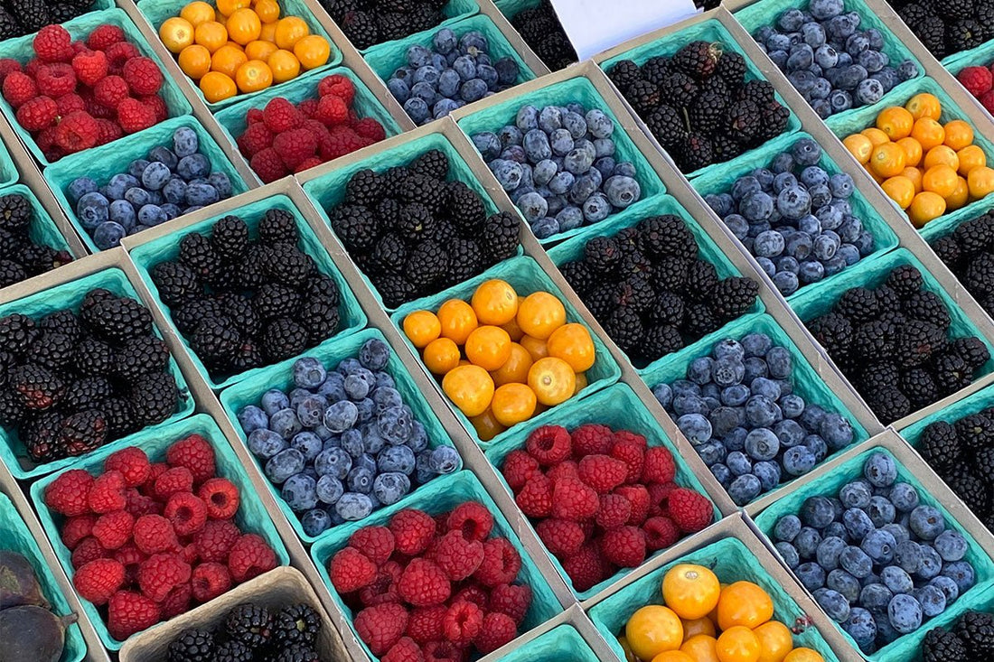 Can Multivitamins Really Boost Your Energy and Immunity? Let’s Break It Down - Real Vitality