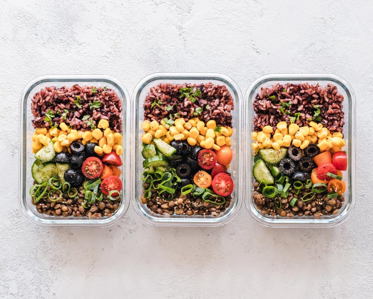 Discovering a Greener Lifestyle: How Plant-Based Diets for Beginners Can Transform Your Health and Our Planet