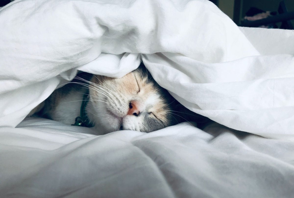 Unlocking the Power of Sleep Supplements: A Scientific Guide to Achieving Restful Nights